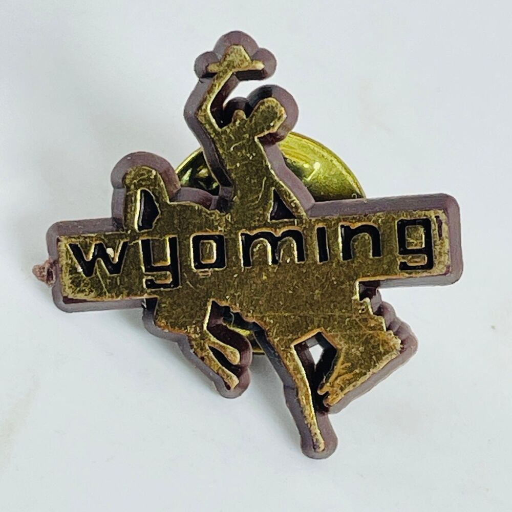 VTG Wyoming Bucking Bronco Cowboy Plastic Pinback Button Souvenir State Travel